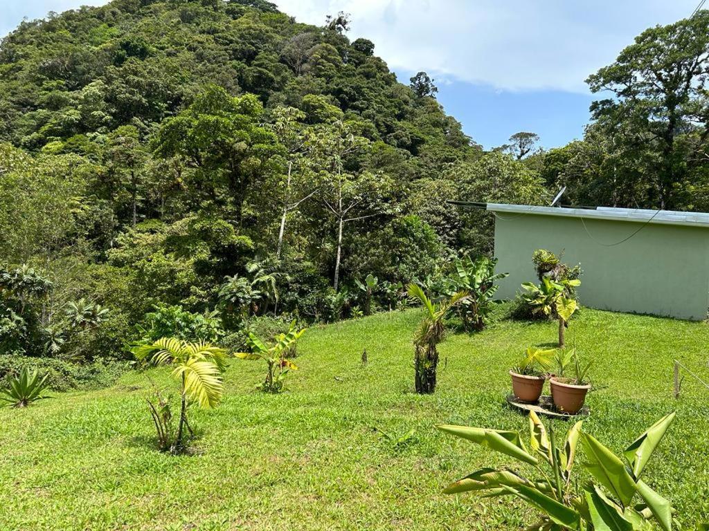 Appartamento Selvatica Del Toro Bajos del Toro Esterno foto