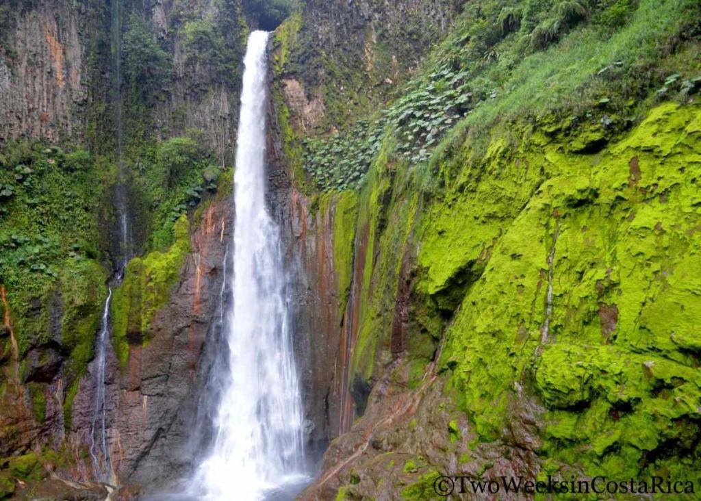 Appartamento Selvatica Del Toro Bajos del Toro Esterno foto