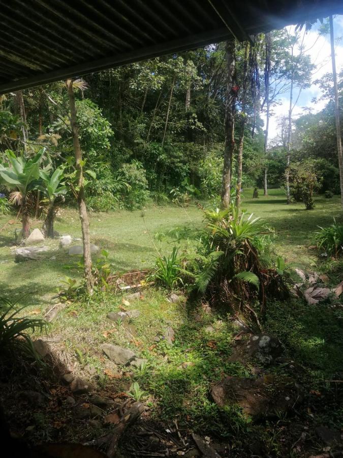 Appartamento Selvatica Del Toro Bajos del Toro Esterno foto
